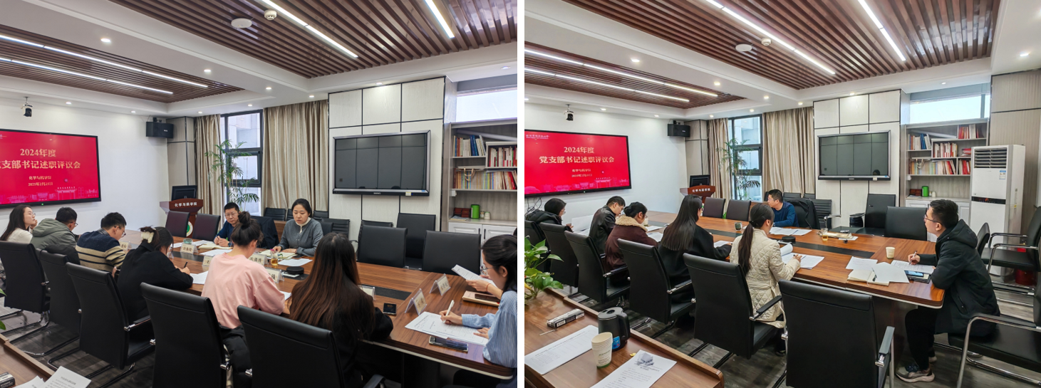公司召开2024年度党支部书记述职评议会